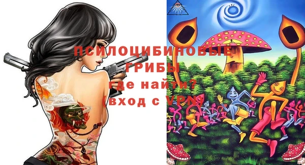 молекула духа Баксан